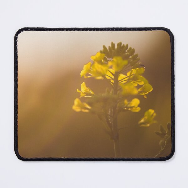Item preview, Selective focus on blooming rapeseed field in spring and summer, Blooming canola flowers close-up designed and sold by Evgeniia Biriukova.