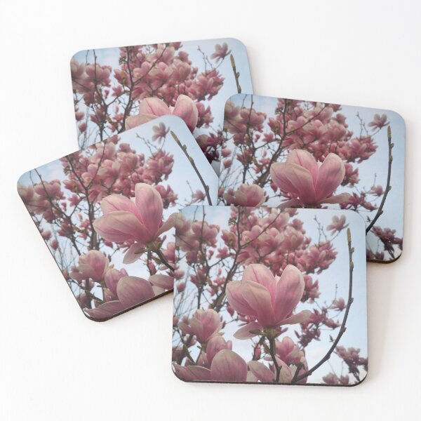 Item preview, Magnolia tree designed and sold by EveryGarden.