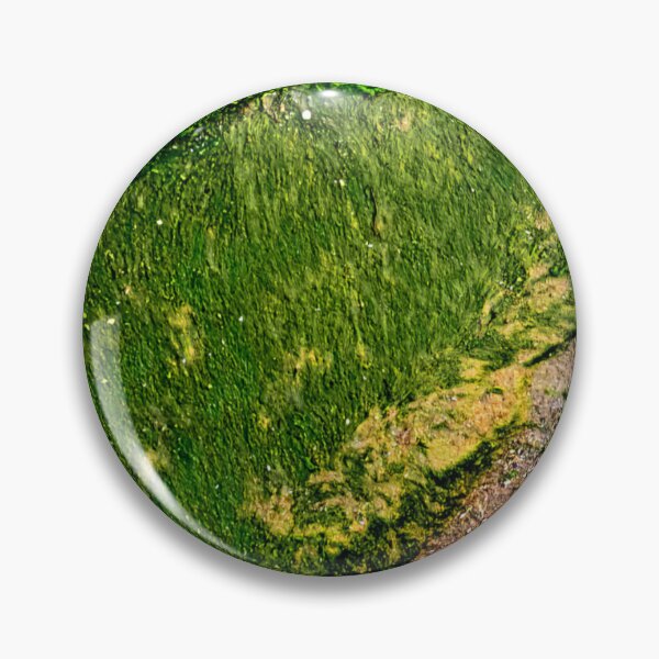 Item preview, Algae designed and sold by ontological.