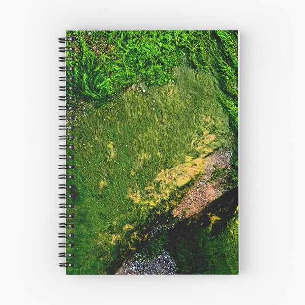 Item preview, Algae designed and sold by ontological.