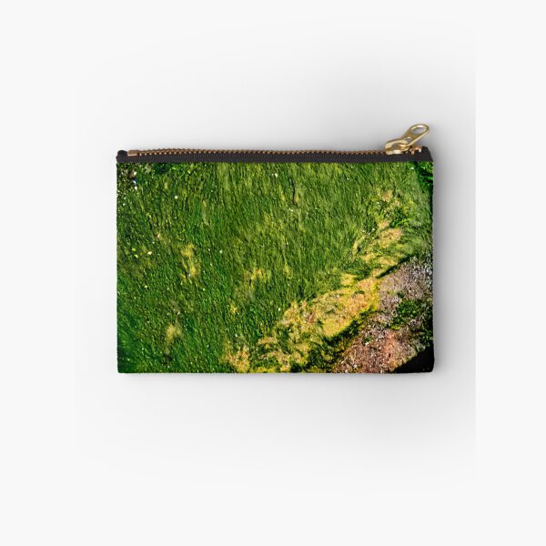 Item preview, Algae designed and sold by ontological.