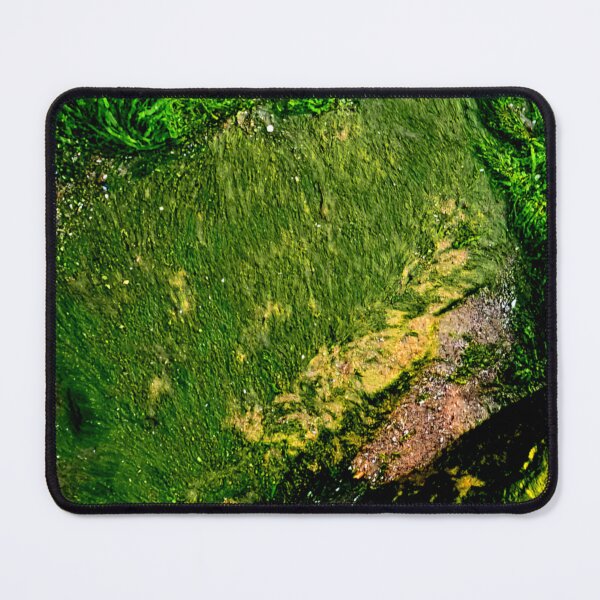 Item preview, Algae designed and sold by ontological.