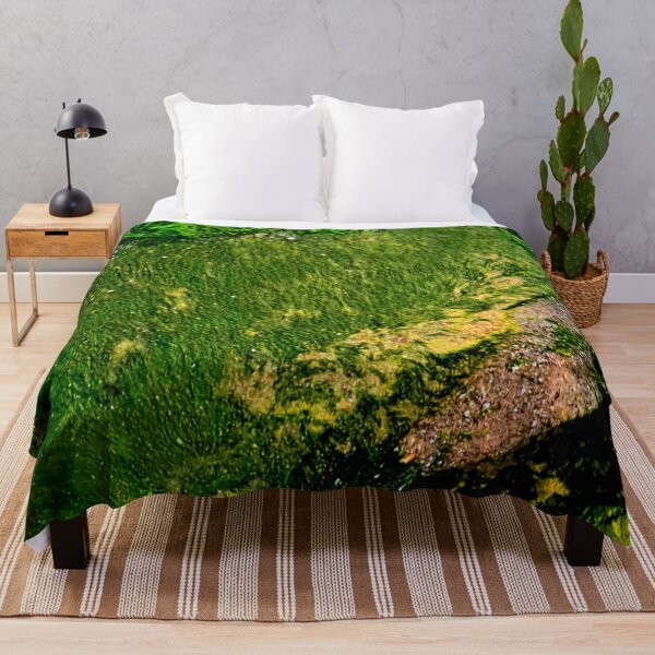 Item preview, Algae designed and sold by ontological.