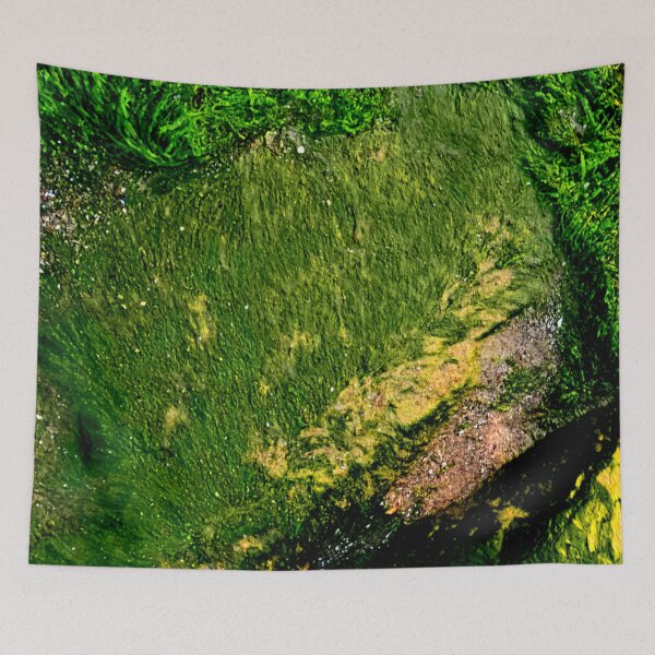 Item preview, Algae designed and sold by ontological.