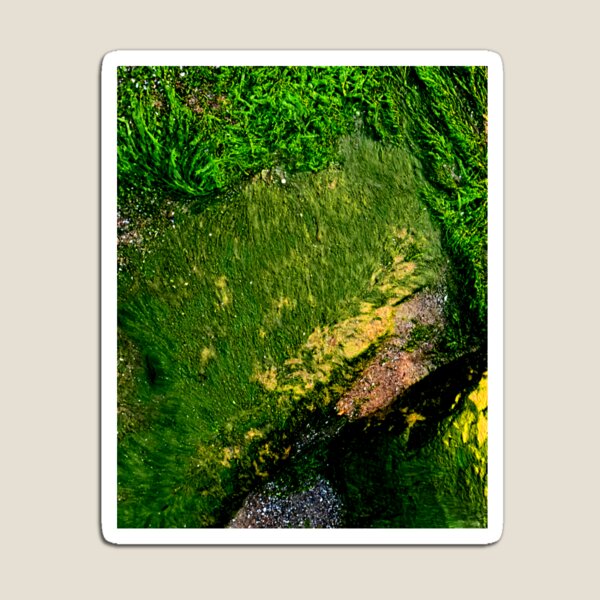 Item preview, Algae designed and sold by ontological.