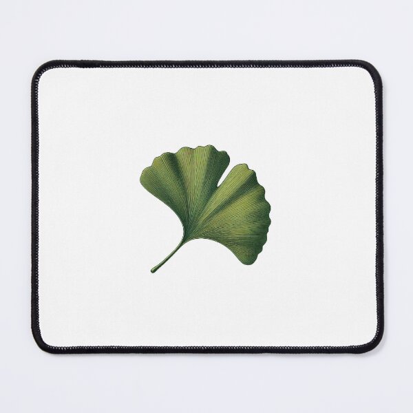 Item preview, Ginko Leaf designed and sold by arty-hoover.