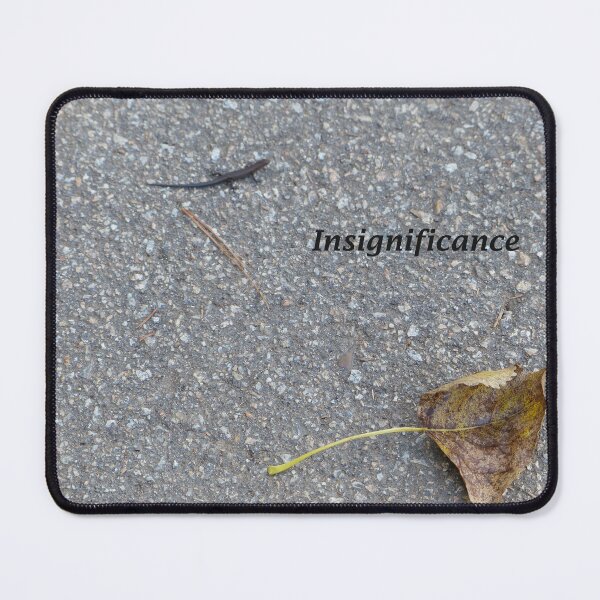 Item preview, Insignificance - Common Garden Skink and Drying Autumn Leaf, the word 'Insignificance' between them designed and sold by GinaMarie-PV.