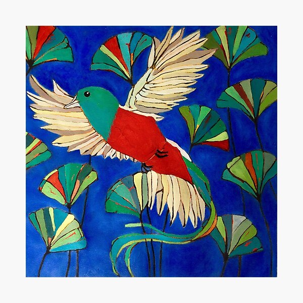 Quetzal Photographic Print