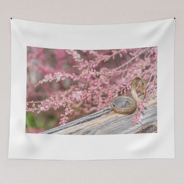 Item preview, Pink Spring Blossoms and an Ancient Compass designed and sold by Jon Shore.