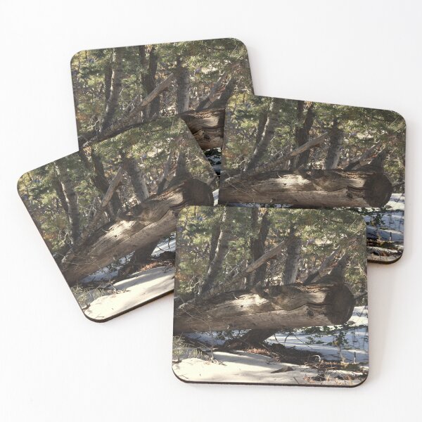 Item preview, Grand Canyon: Northern Rim 5 designed and sold by MangoSeeds.