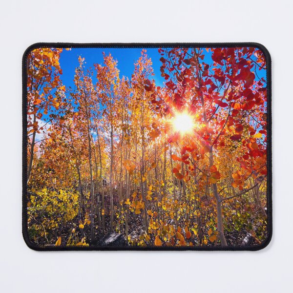 Item preview, Autumn Burst designed and sold by SavingMemories.