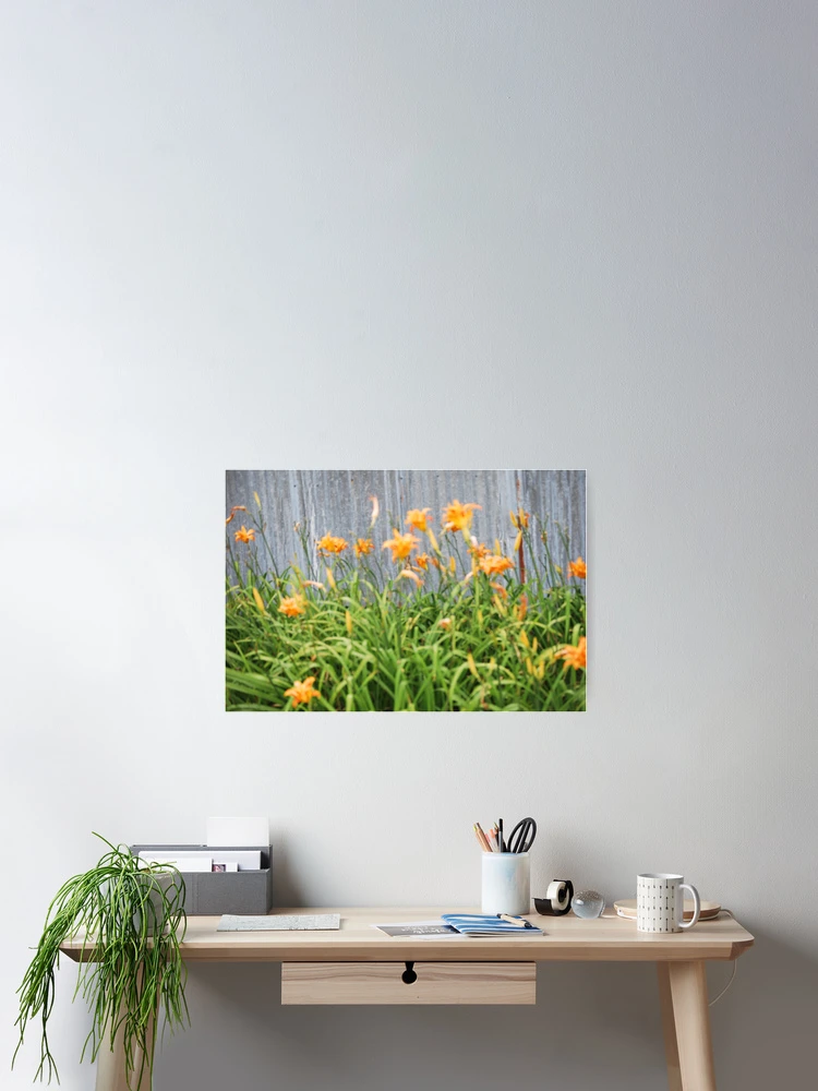 Thumbnail 2 of 3, Poster, My Spring Collection! designed and sold by Marlo510.