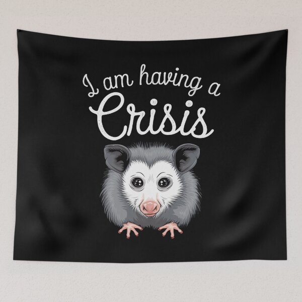 Item preview, Possum Costume I Am Having A Crisis Possum Memes Possum Crisis Meaning designed and sold by ArabCorner.
