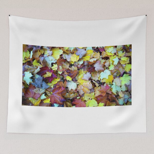 Item preview, Forest floor designed and sold by steve-1.