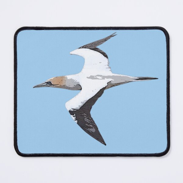 Item preview, Australasian Gannet Color Design designed and sold by designsasstultd.