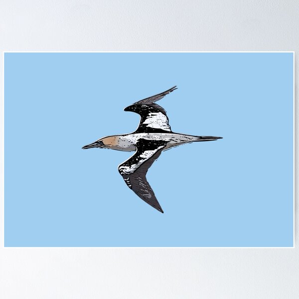 Item preview, Australasian Gannet Black Alternate Design  designed and sold by designsasstultd.