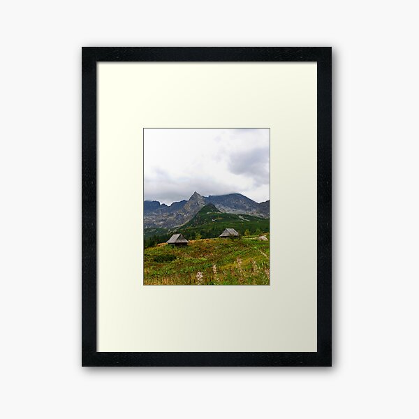 Framed Art Print