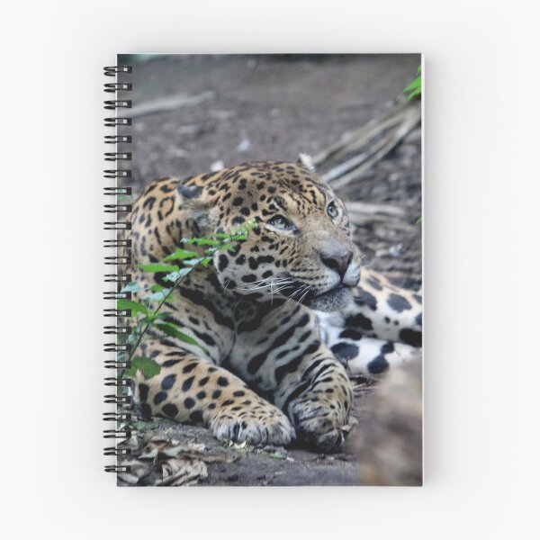 Item preview, Jaguar designed and sold by AnthonyThomas.