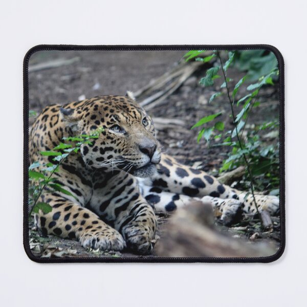Item preview, Jaguar designed and sold by AnthonyThomas.