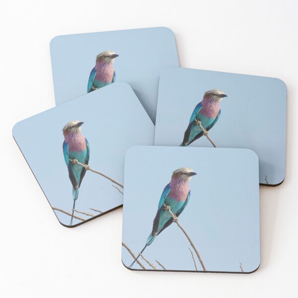 Item preview, Lilac Breasted Roller On The Hunt designed and sold by Kay Brewer.