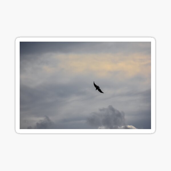 Item preview, Raven in the Clouds designed and sold by MichaelIery.