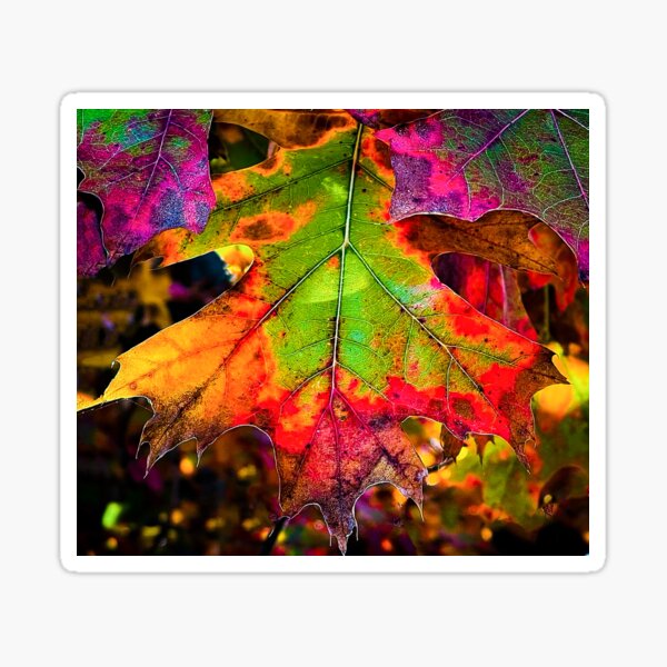 Item preview, Vibrant Colorful Leaves in October designed and sold by MichaelIery.
