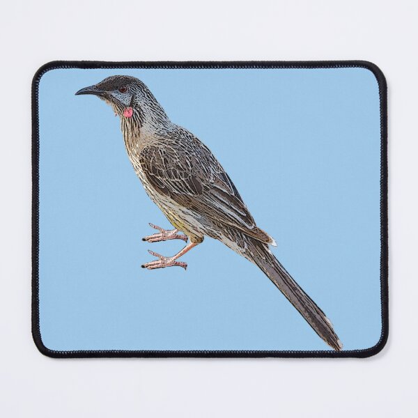 Item preview, Red Wattlebird Color Design  designed and sold by designsasstultd.