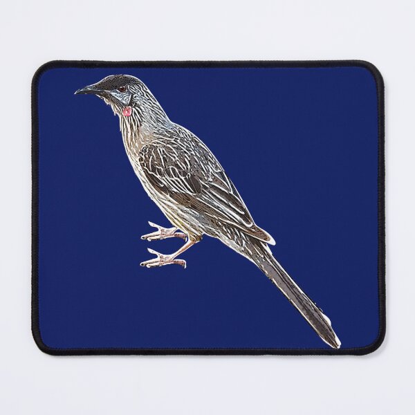 Item preview, Red Wattlebird White Alternate Design designed and sold by designsasstultd.