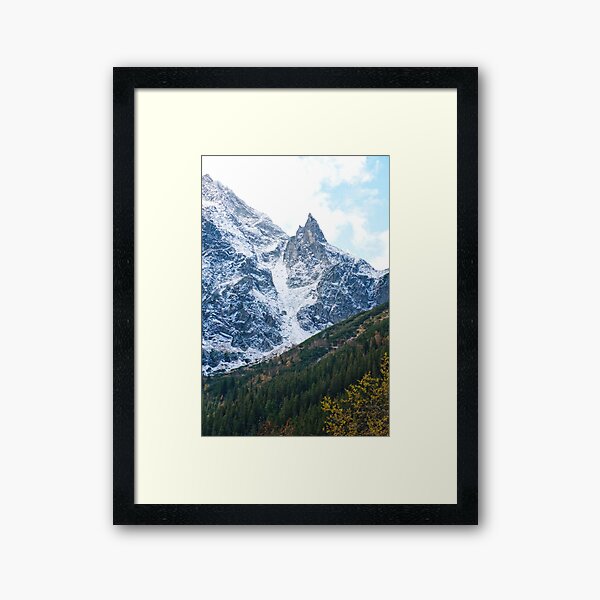 Framed Art Print