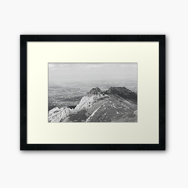 Framed Art Print