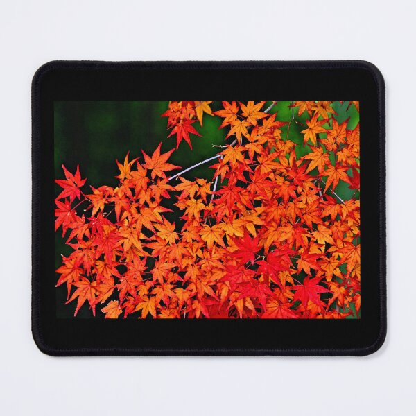 Item preview, Autumn Leaves Art - Celebrate Fall Vibes designed and sold by Earth Nature Creations.
