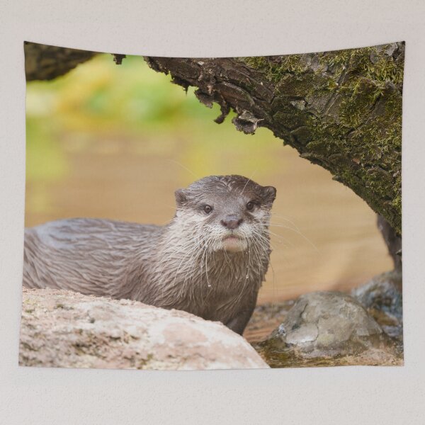 Artikelvorschau, Sommerschatten, Otterblick entworfen und verkauft von rawshutterbug.