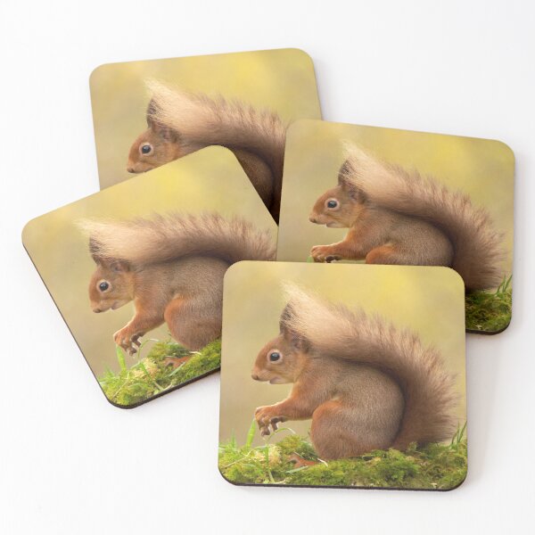 Item preview, Red Squirrel designed and sold by Macrae images.