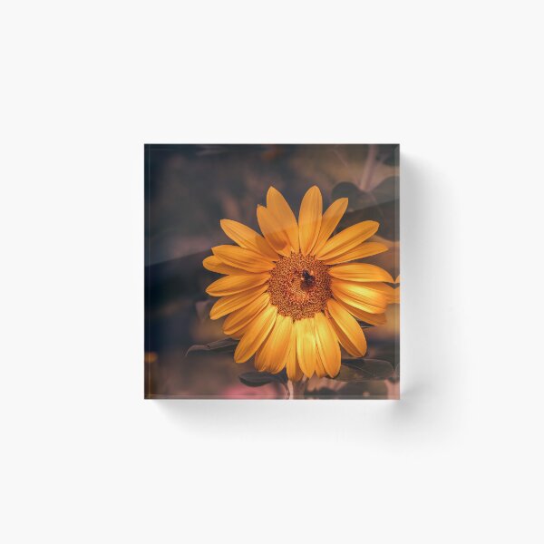 Artikelvorschau, Pollen Laden entworfen und verkauft von Jim Love.