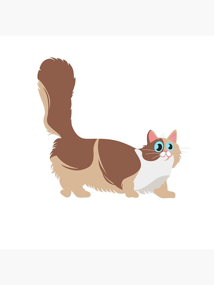 Adorable Munchkin Cat Gifts by Dogvills