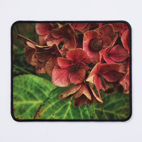 Item preview, Hydrangea hideout  designed and sold by Itsallgravey.