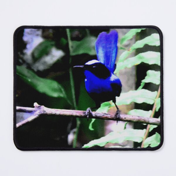 Item preview, Emperor Fairywren designed and sold by ontological.