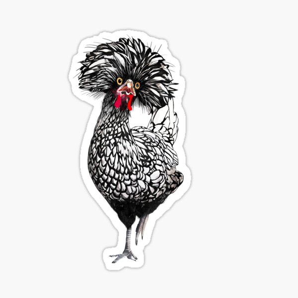 Item preview, Funny Fancy Polish Chicken designed and sold by Nina Kohl.