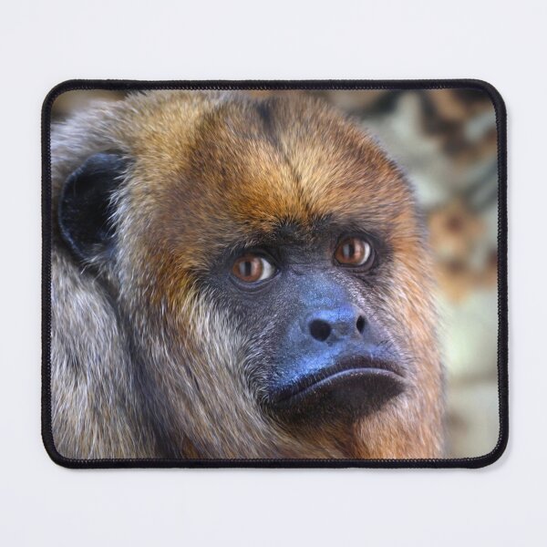 Item preview, Howler Monkey designed and sold by Savannah Gibbs.