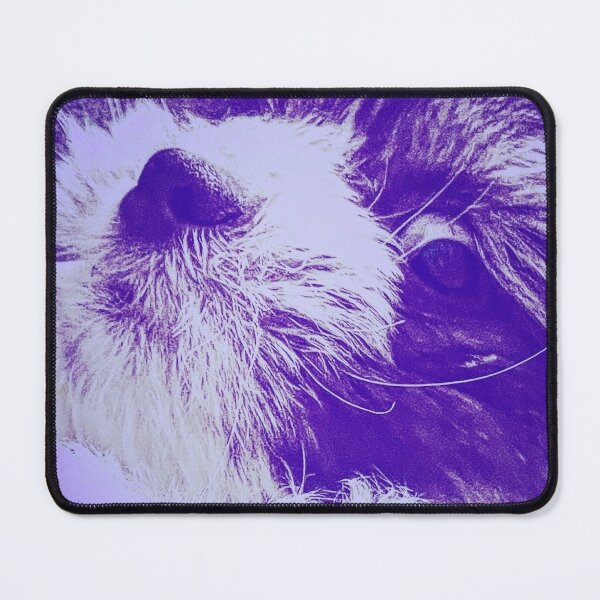 Item preview, Salvador Puppy, photograph pf my puppy looking like the famous painter designed and sold by Kat Lindsey.