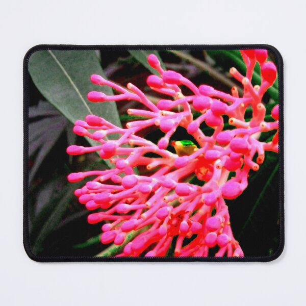 Item preview, Crane Flower designed and sold by ontological.