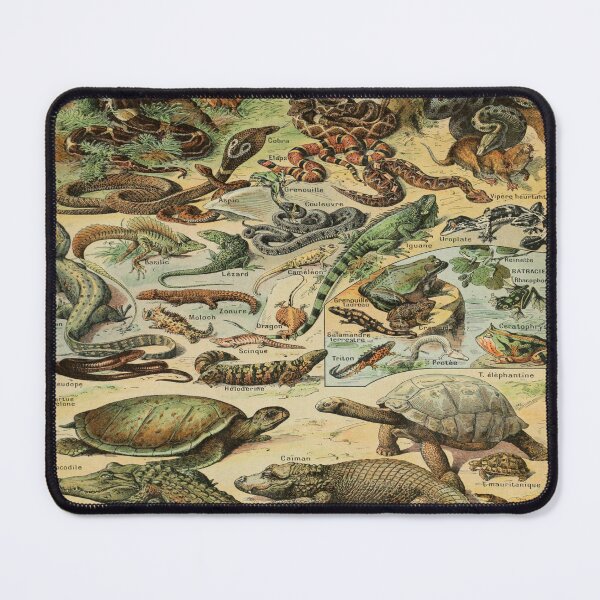 Item preview, Reptiles by Adolphe Philippe Millot designed and sold by AstroAppa.