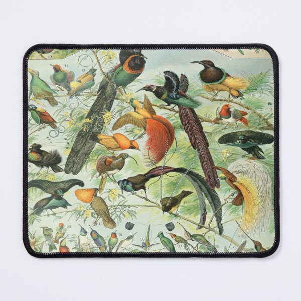 Item preview, Oiseaux A by Adolphe Millot by Adolphe Philippe Millot designed and sold by AstroAppa.