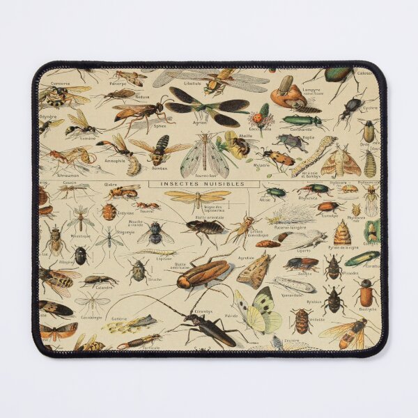 Item preview, Insectos de Adolphe Millot de Adolphe Philippe Millot designed and sold by AstroAppa.
