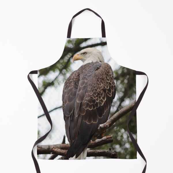 Item preview, Large adult white bald eagle looking over shoulder perched on branch beautiful feathers designed and sold by Jacobs-Media.