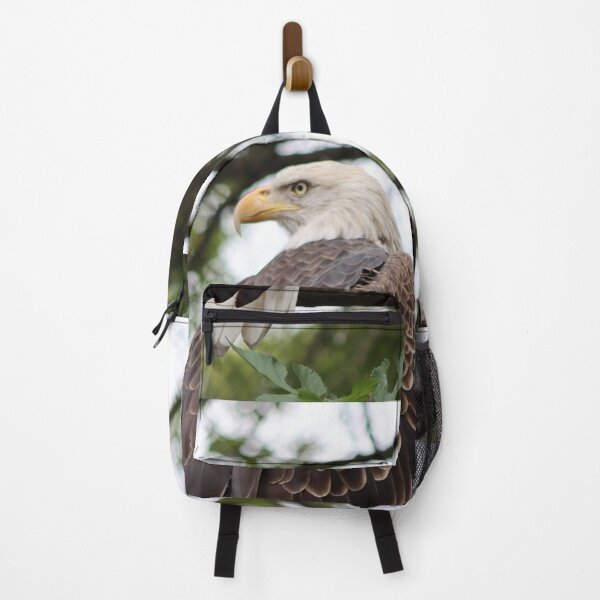 Item preview, Large adult white bald eagle looking over shoulder perched on branch beautiful feathers designed and sold by Jacobs-Media.