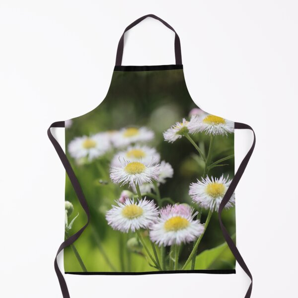 Item preview, Small white daisies growing in summer sunlight against blurred background Philadelphia fleabane designed and sold by Jacobs-Media.