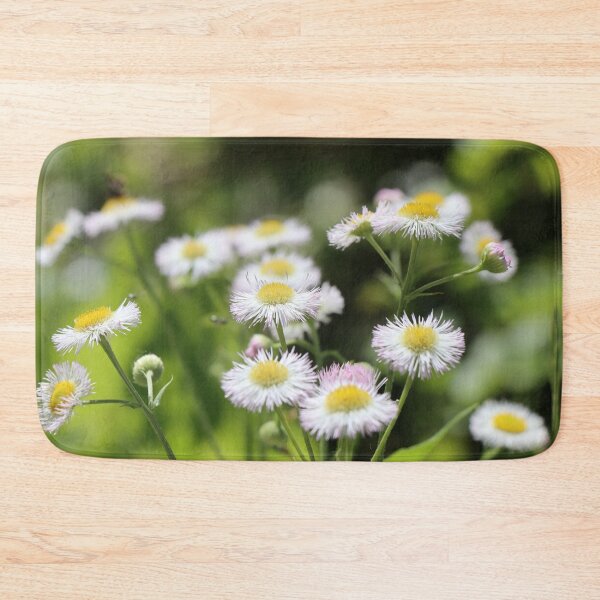 Item preview, Small white daisies growing in summer sunlight against blurred background Philadelphia fleabane designed and sold by Jacobs-Media.