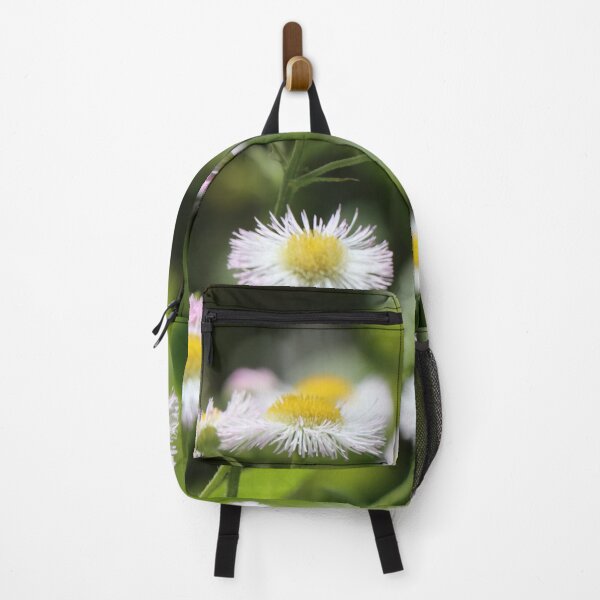 Item preview, Small white daisies growing in summer sunlight against blurred background Philadelphia fleabane designed and sold by Jacobs-Media.