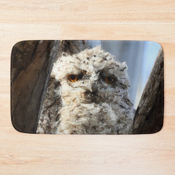Item preview, Cute Tawny Frogmouth young designed and sold by Mark Grimsley.